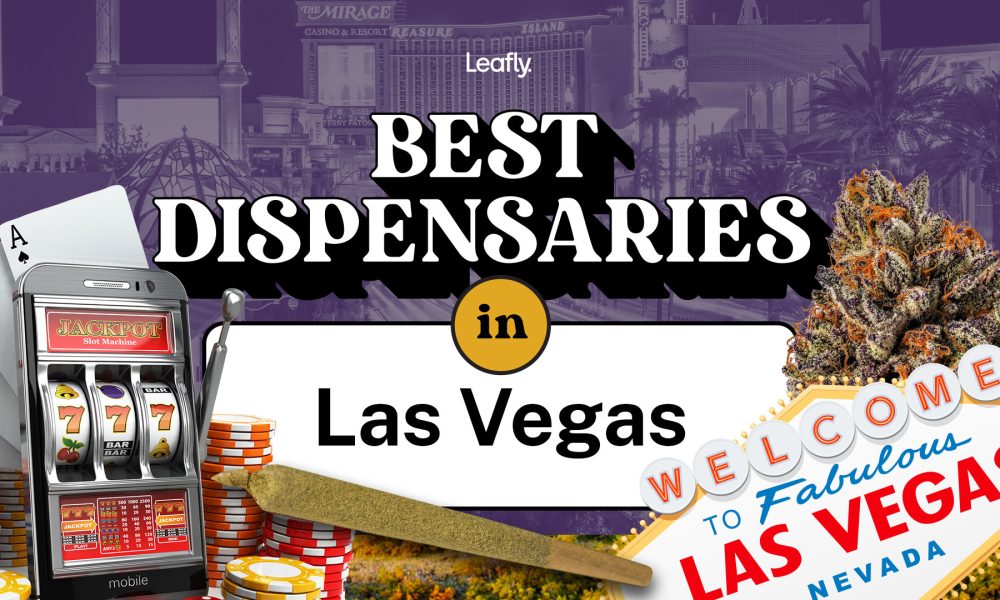 Best Rated Dispensaries in Las Vegas, NV 2023 Edition - Yum Edibles